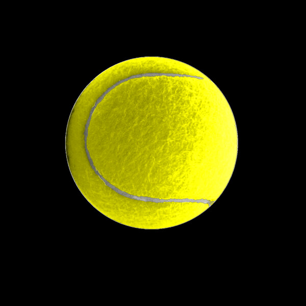 Dog Ball Front